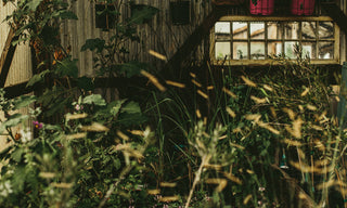 The Common Good Collection
